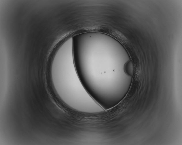 X0000086940732200704161034