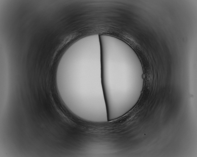 X0000086940734200704161034