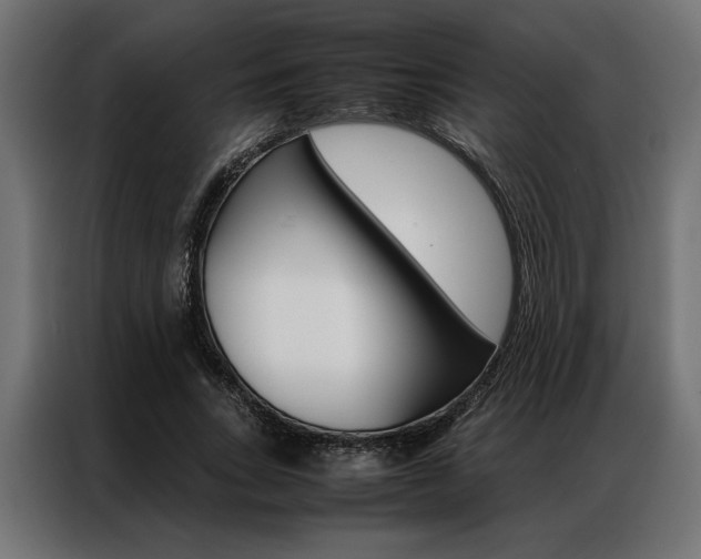 X0000086940735200704161034