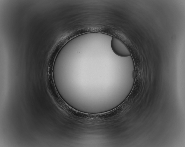 X0000086940736200704161034
