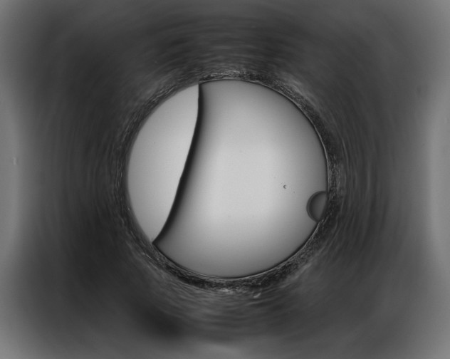 X0000086940737200704161034