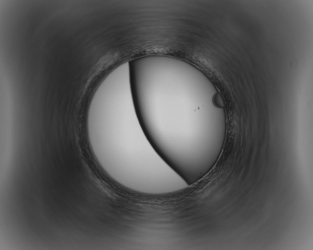 X0000086940738200704161034