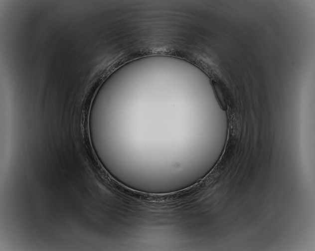 X0000086940740200704161034