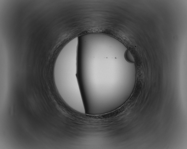 X0000086940742200704161035