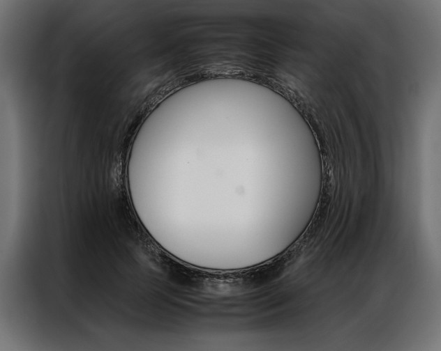 X0000086940745200704161035