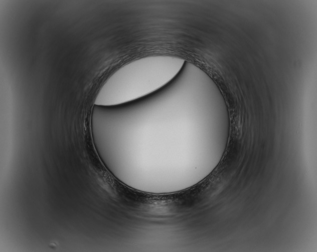 X0000086940746200704161035