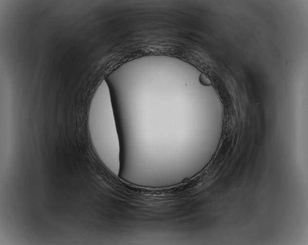 X0000086940749200704161035