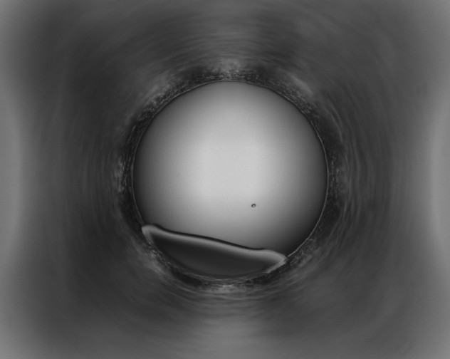 X0000086940750200704161035