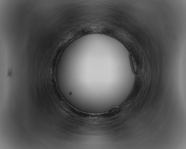 X0000086940752200704161035