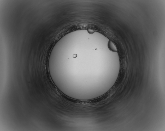 X0000086940754200704161035