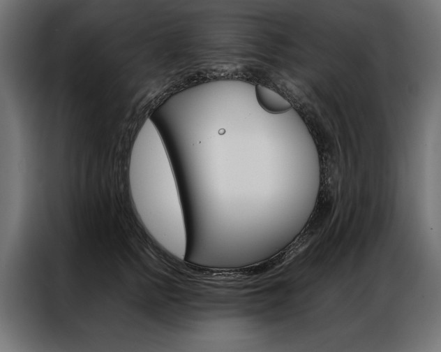 X0000086940758200704161035