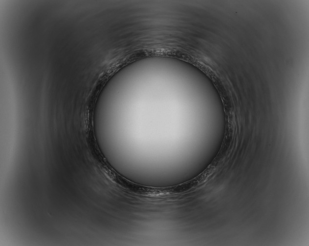 X0000086940760200704161035