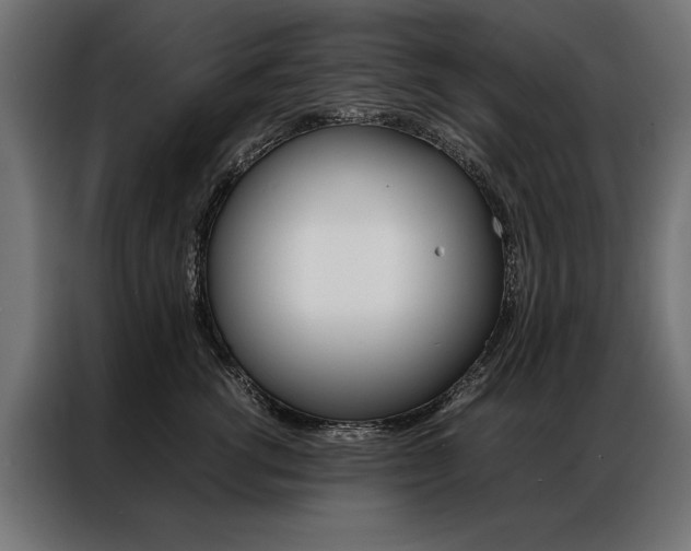 X0000086940762200704161035