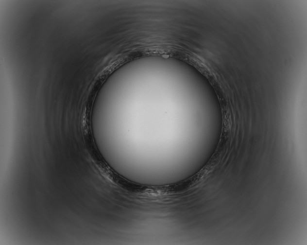 X0000086940764200704161035