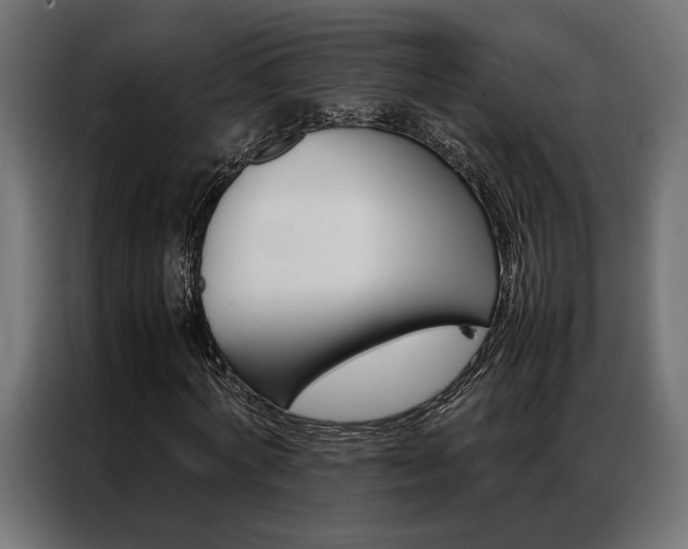 X0000086940772200704161034