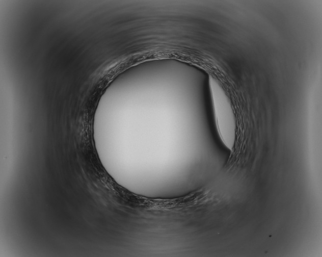 X0000086940773200704161034