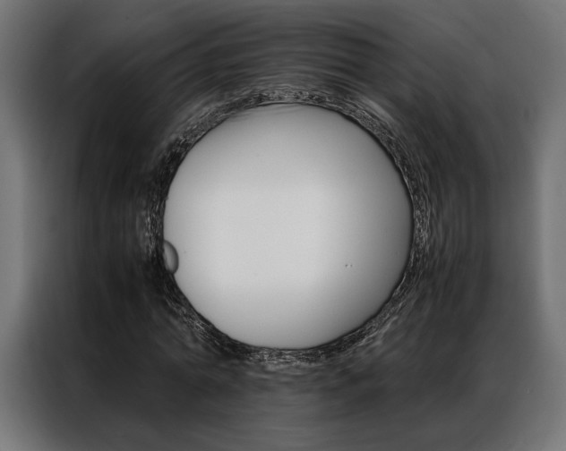 X0000086940774200704161034
