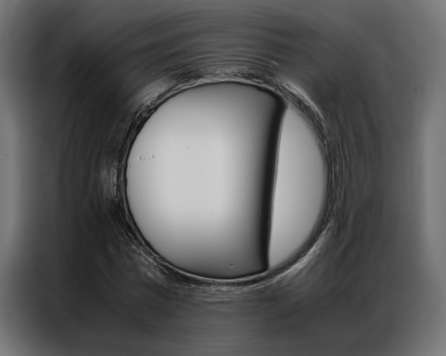 X0000086940777200704161034