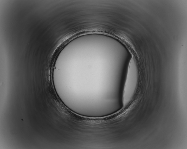 X0000086940781200704161034
