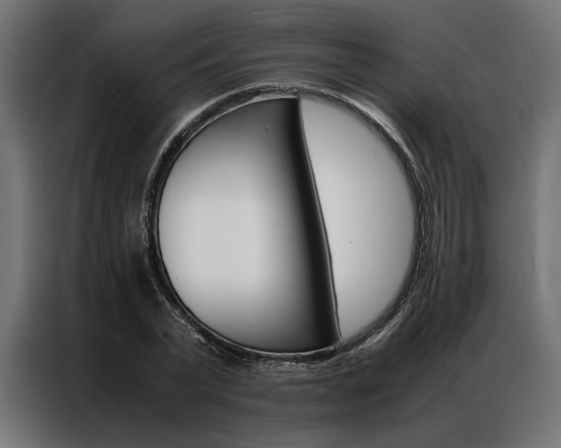 X0000086940783200704161034