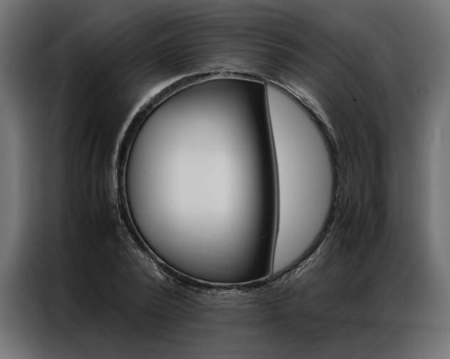 X0000086940784200704161034