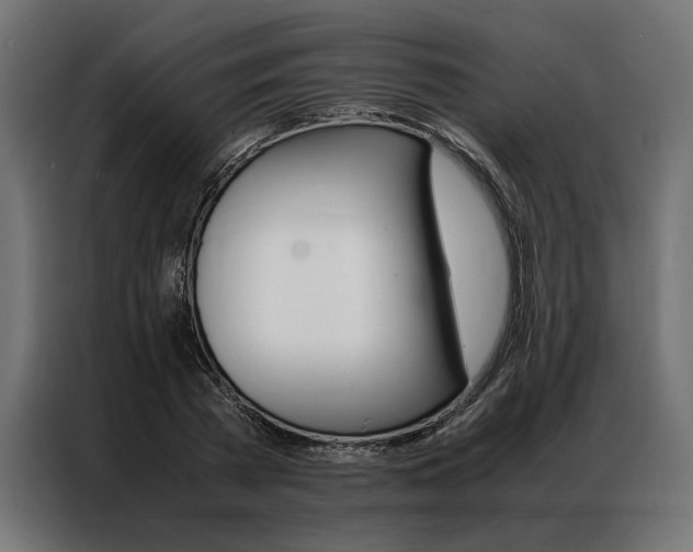 X0000086940785200704161034