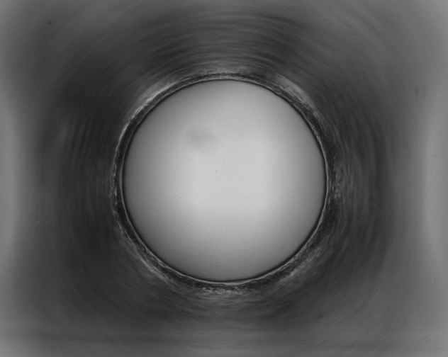 X0000086940786200704161034