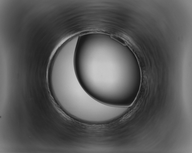X0000086940788200704161034