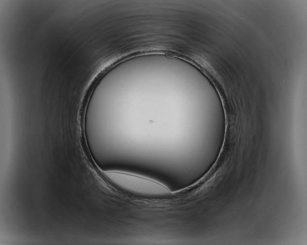 X0000086940789200704161034