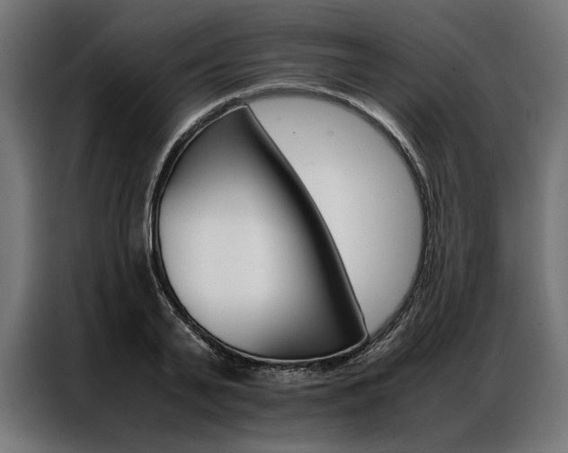 X0000086940791200704161034