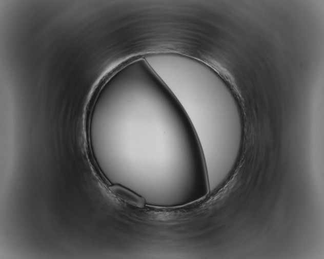 X0000086940792200704161034