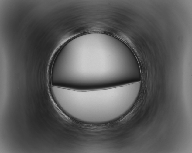 X0000086940795200704161034