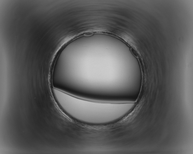 X0000086940797200704161034