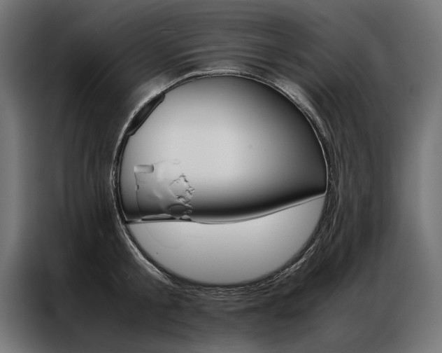 X0000086940805200704161034