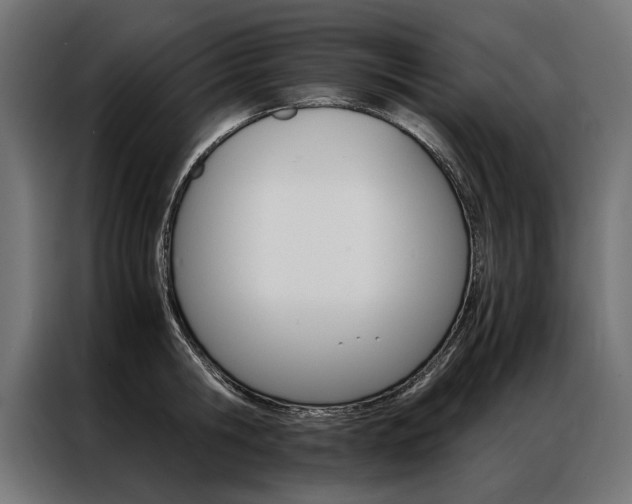 X0000086940806200704161034