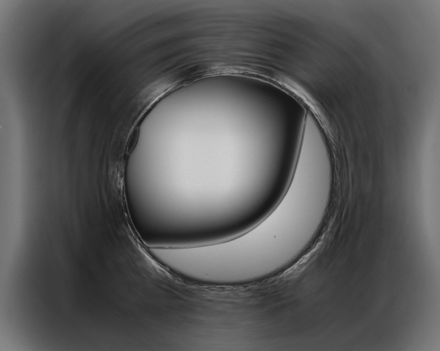 X0000086940809200704161034