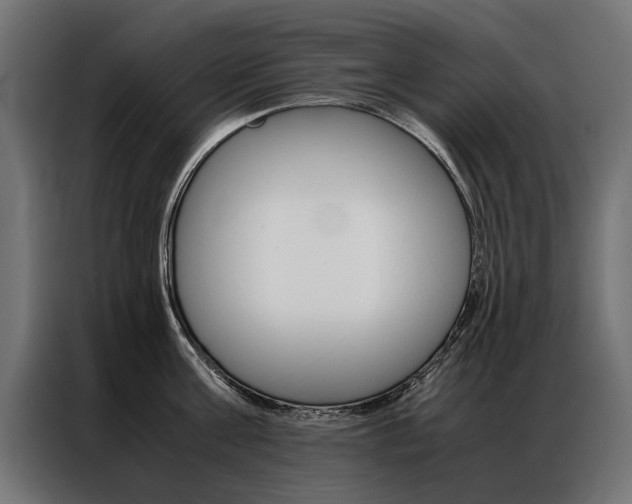X0000086940811200704161034