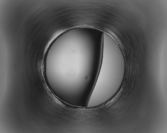 X0000086940812200704161034