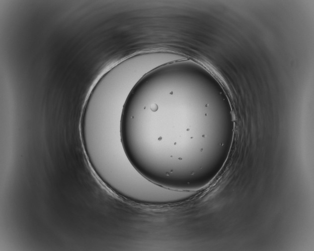 X0000086940813200704161034