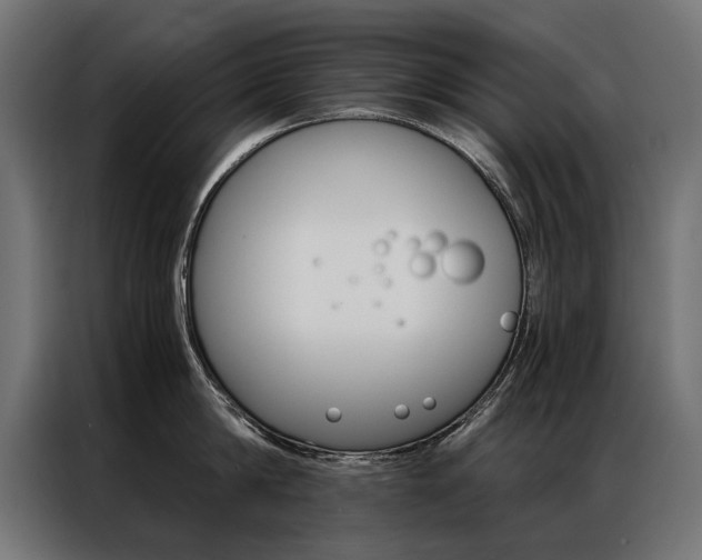 X0000086940814200704161034