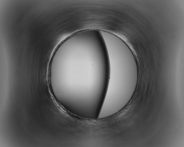 X0000086940815200704161034
