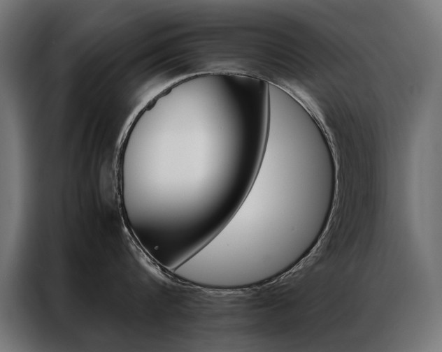 X0000086940816200704161034
