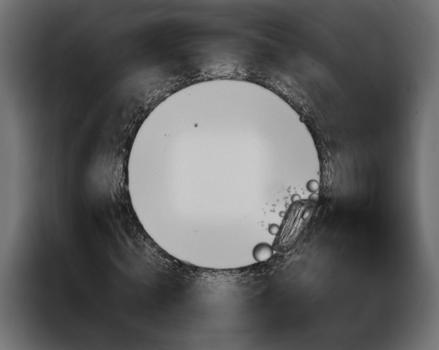 X0000086940820200704161033