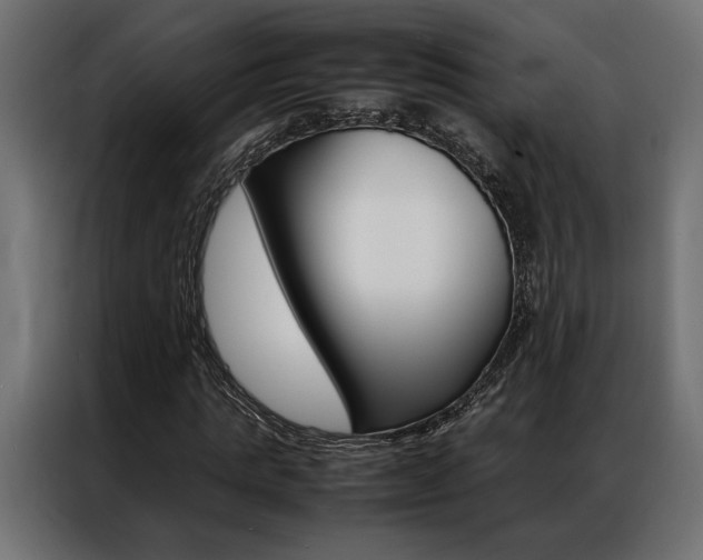 X0000086940821200704161033