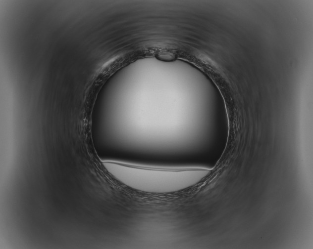 X0000086940822200704161033