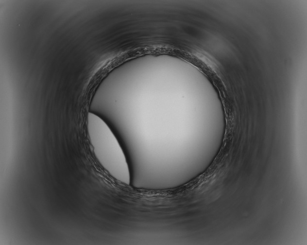 X0000086940823200704161033