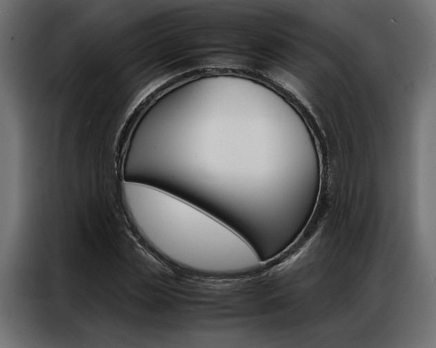 X0000086940829200704161033