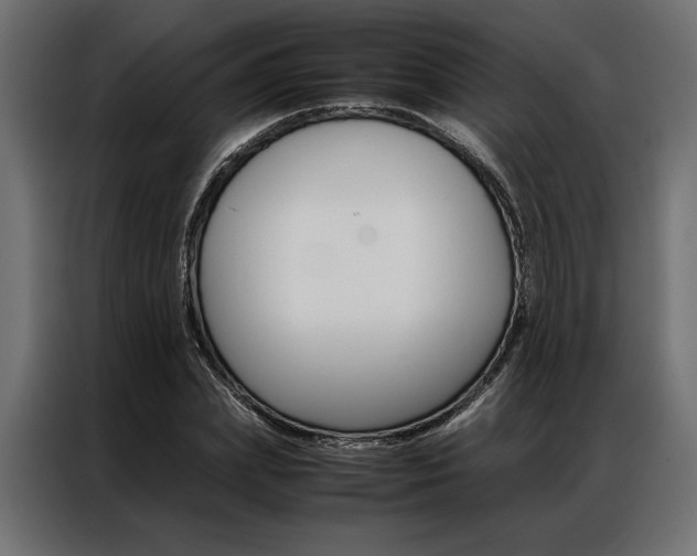 X0000086940831200704161033