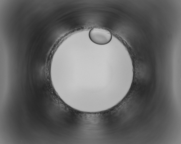 X0000086940832200704161033
