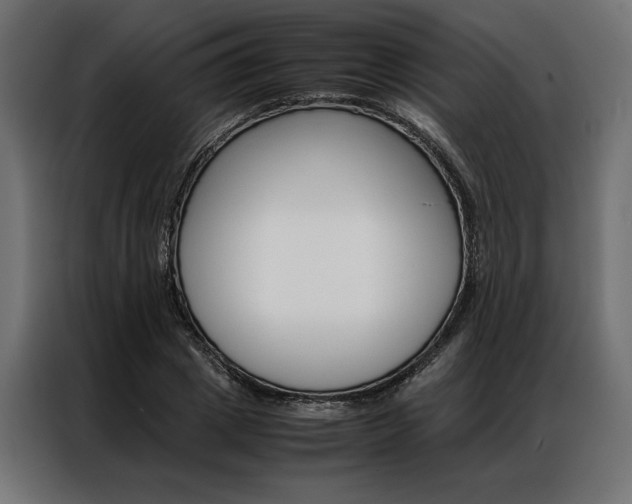 X0000086940833200704161033